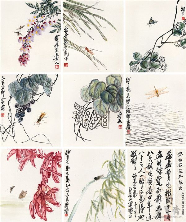  512  齊白石? 花卉草蟲（八開）